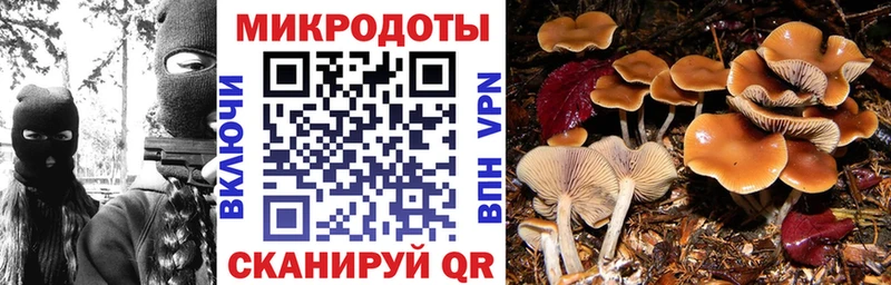 Псилоцибиновые грибы Magic Shrooms  где купить   Дмитров 